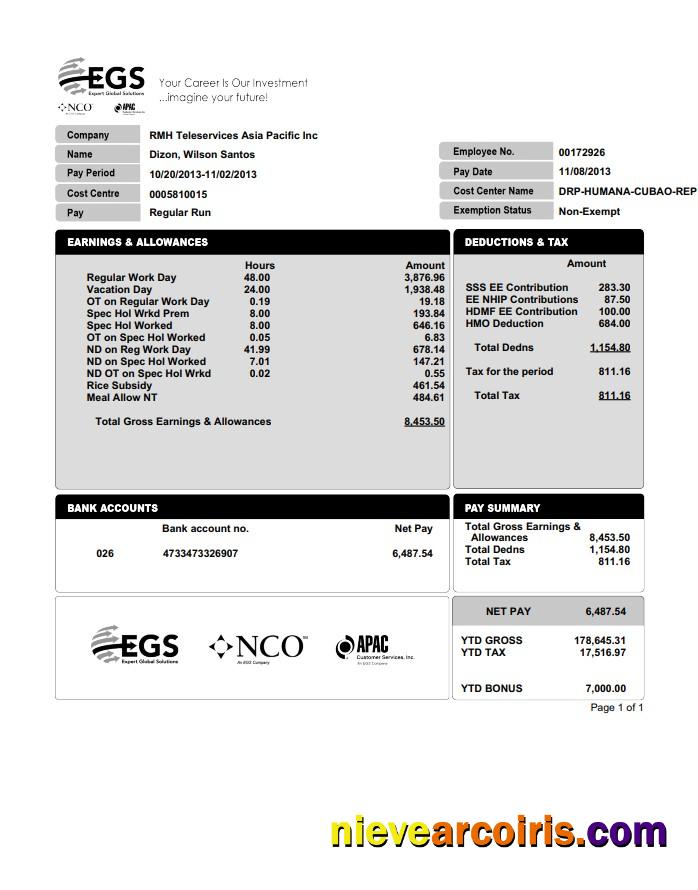 EXPERT GLOBAL SOLUTIONS COMPANY pay stub